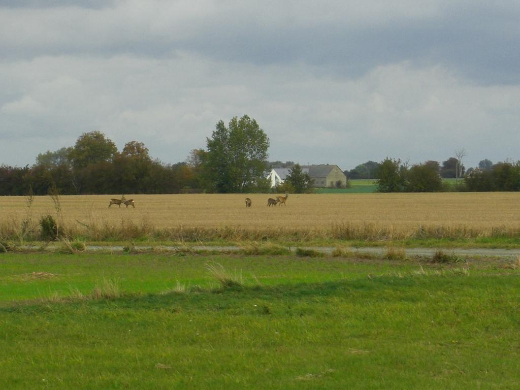 Hagestad 47 Löderup Exteriör bild