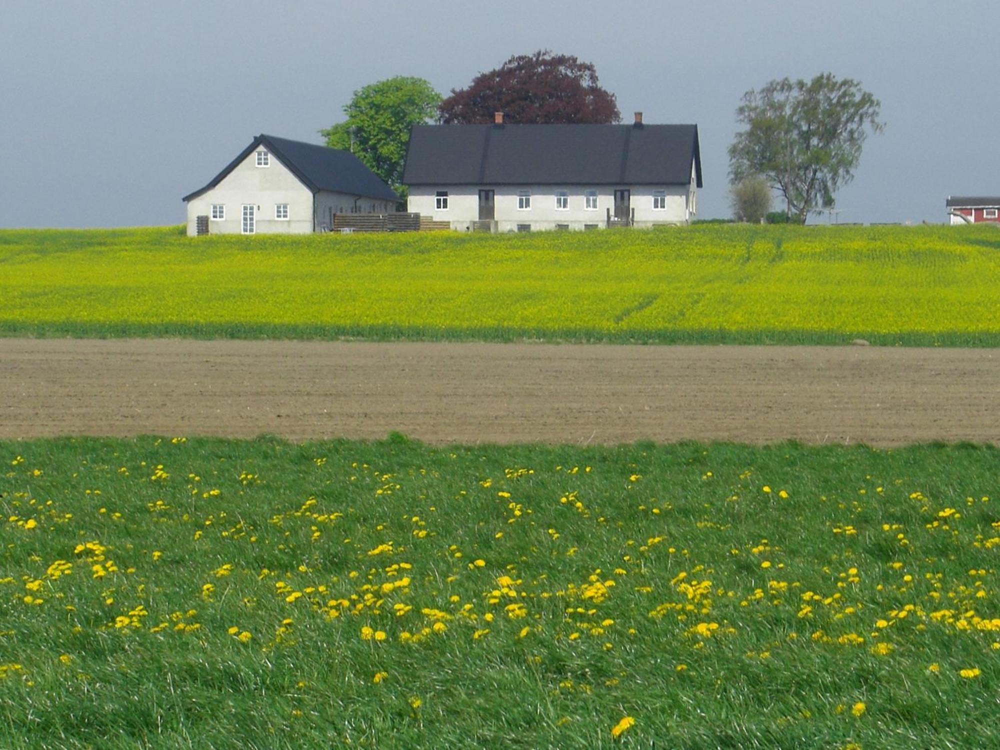 Hagestad 47 Löderup Rum bild