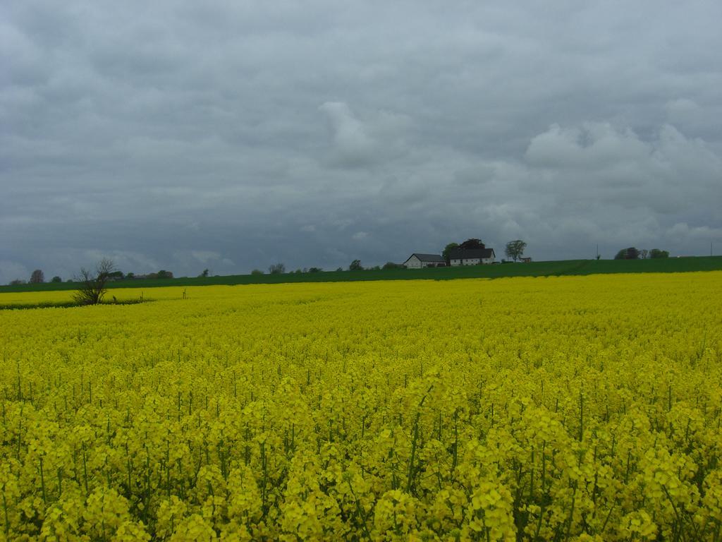 Hagestad 47 Löderup Exteriör bild