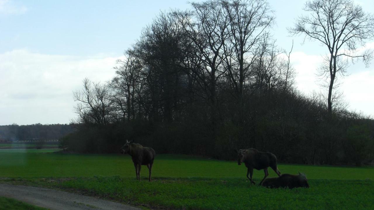 Hagestad 47 Löderup Exteriör bild